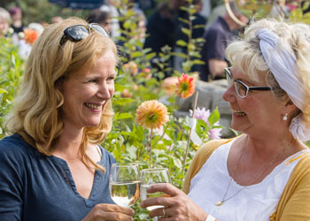 Weinfest mit Live-Musik