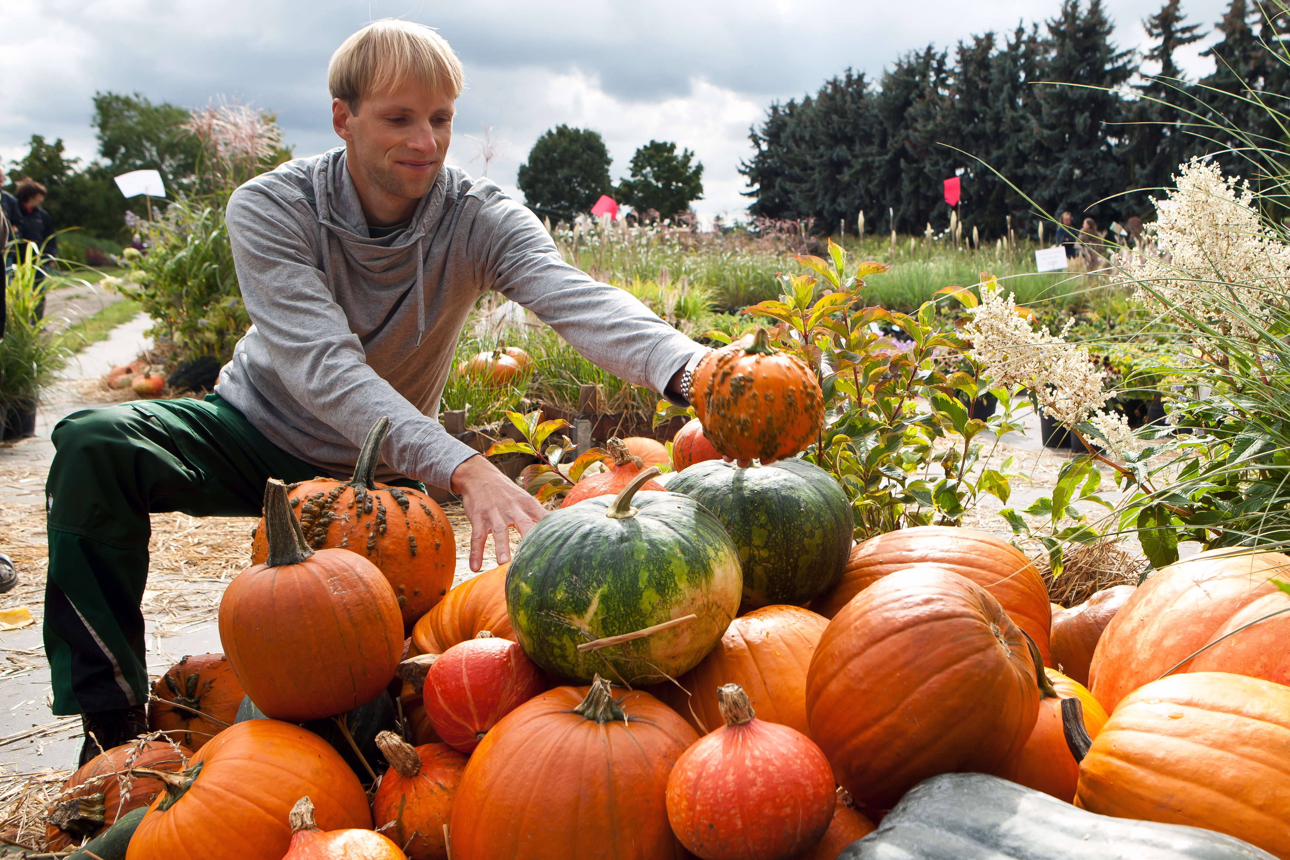 Ausstellung mit 90 Kürbissorten von Hokkaido bis Halloween - Pressefoto, 9,90 MB