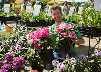 Aussteller mit Rhododendron-Pflanzen, Foto: Daniela Incoronato