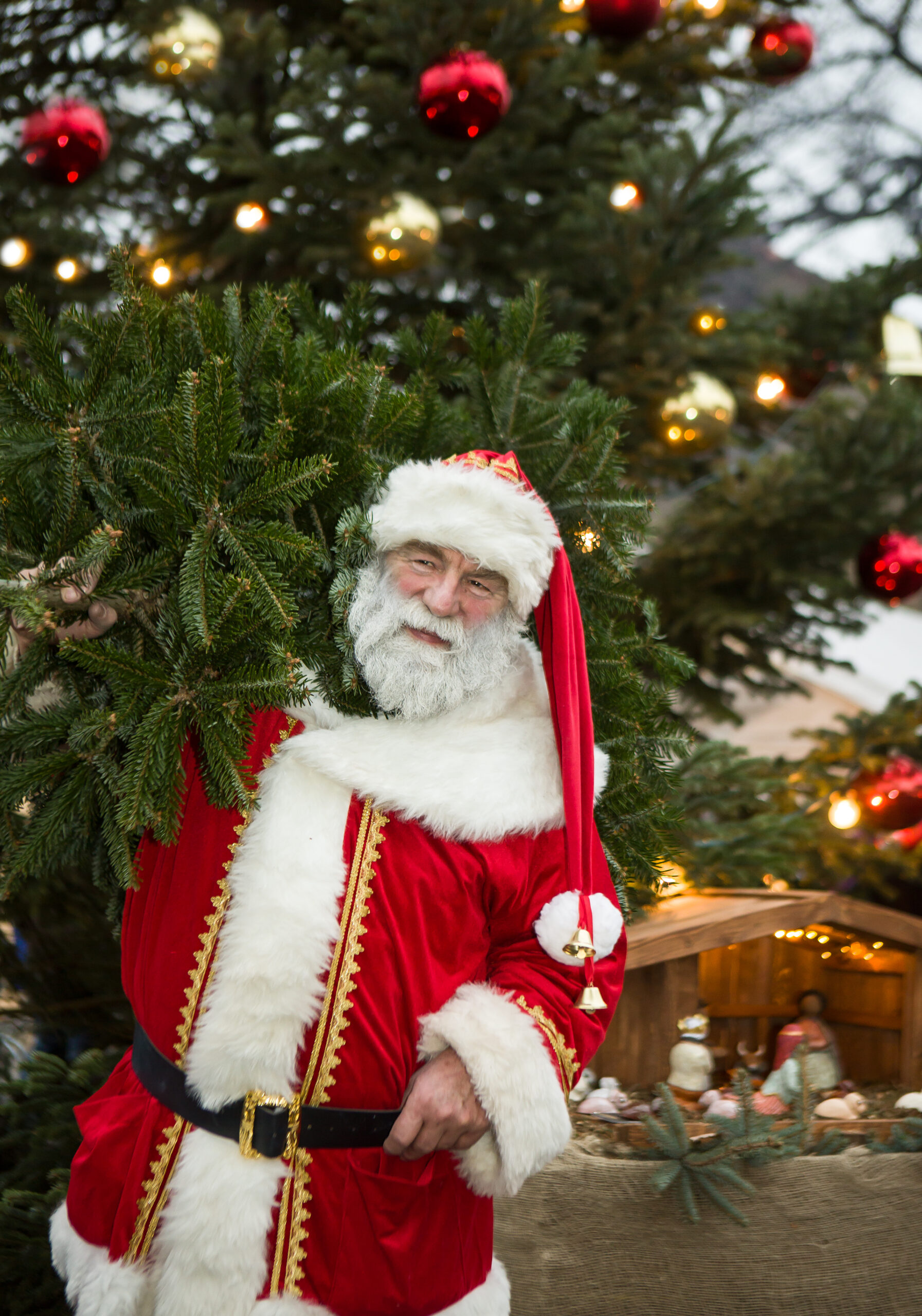 Weihnachtsmann mit Weihnachtsbaum vor einer Weihnachtskrippe