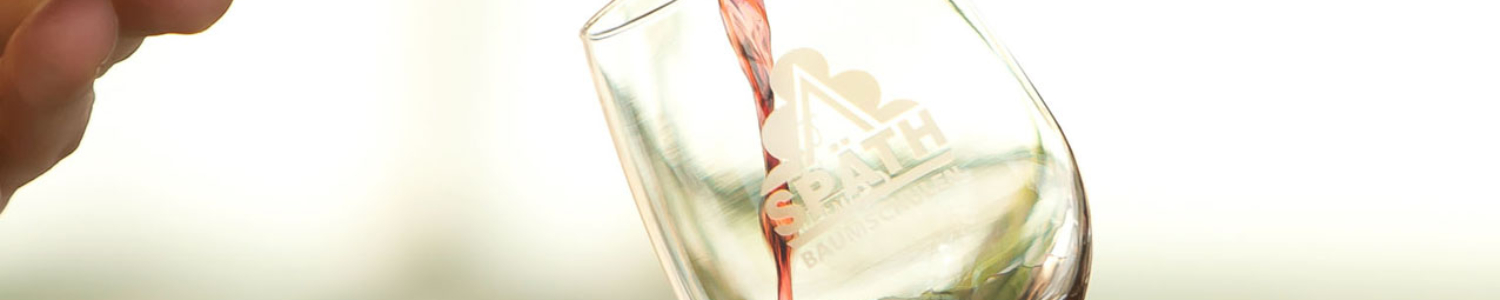 Weinglas mit Spaeth-Logo und Rotwein