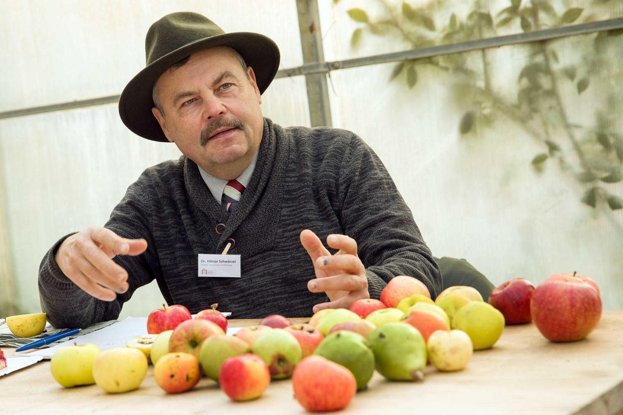 Dr. Hilmar Schwärzel bei der Apfelsortenbestimmung.