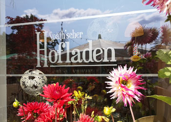 Hofladen Späth: Schaufenster mit Dahlien