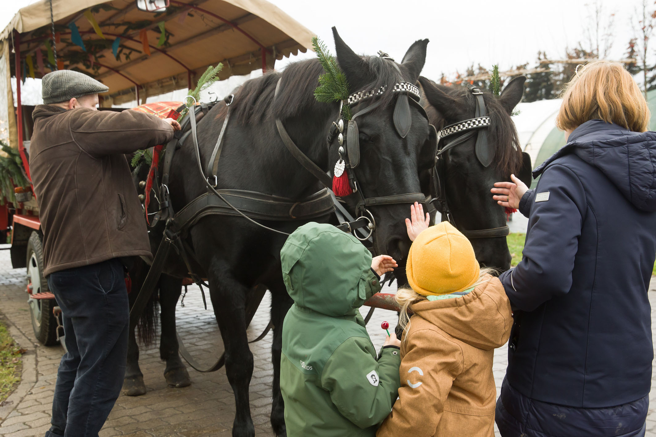 Kinder mit den Pferden des Kremserwagens