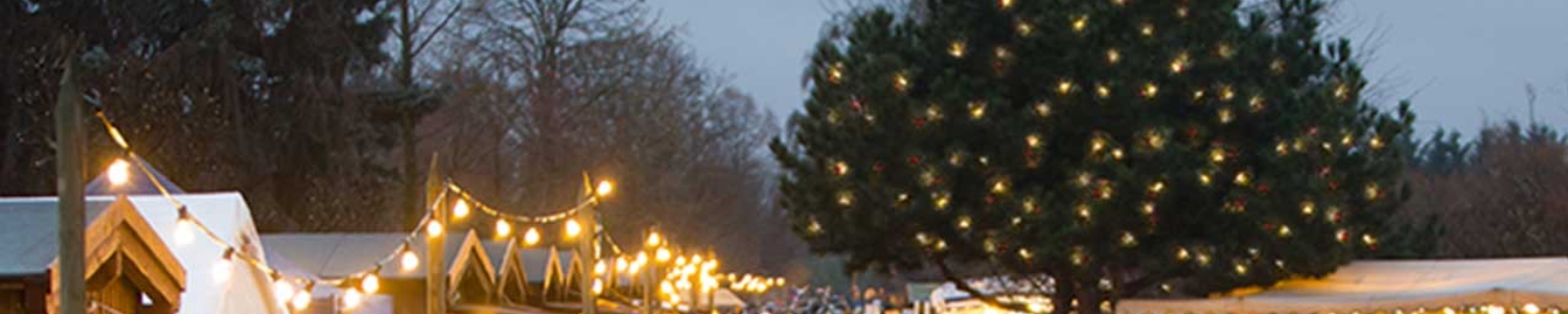 Weihnachtsmarkt: Ansicht mit Lichterbaum und Weihnachtshütten