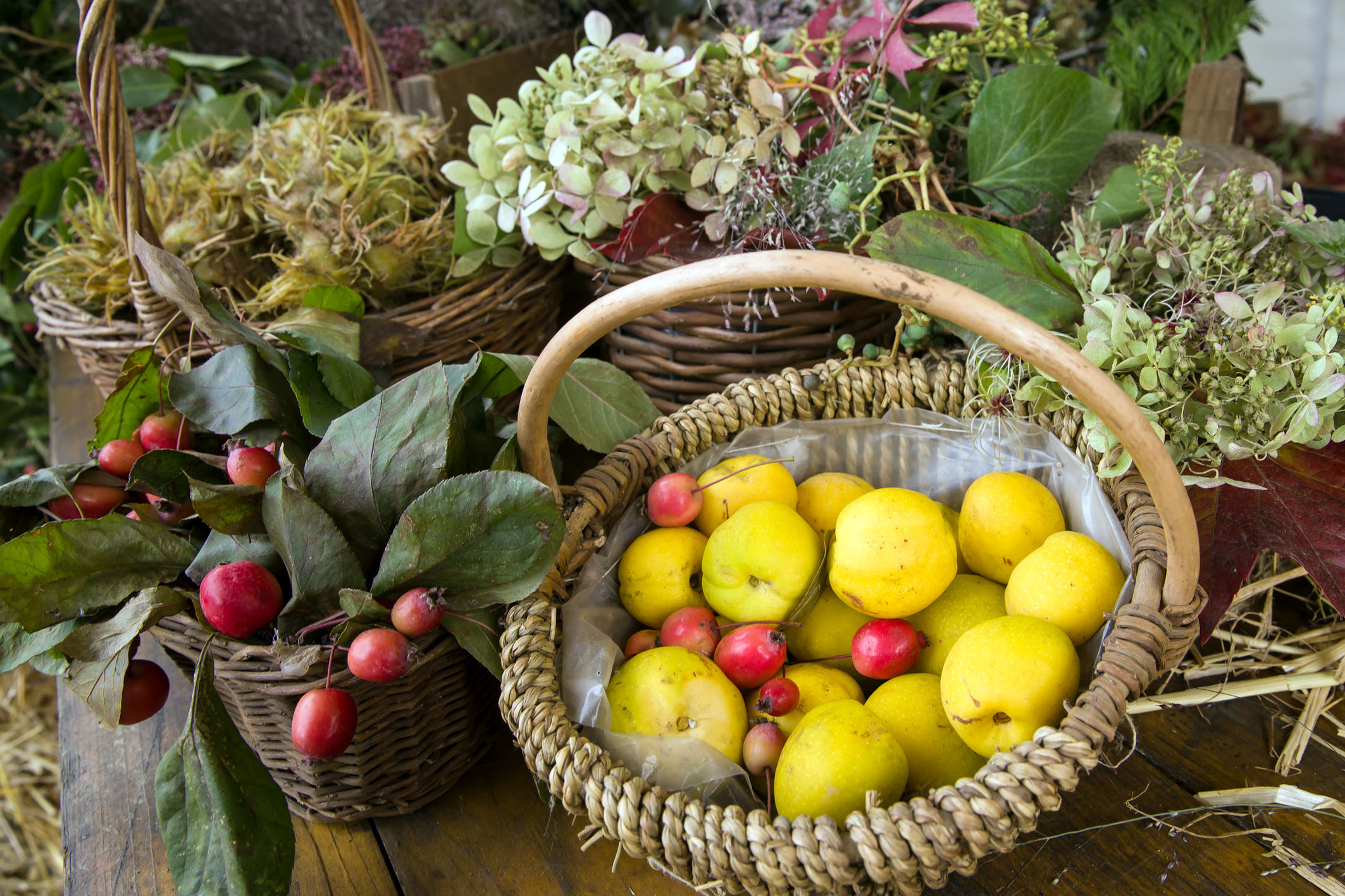 Korb mit Äpfeln und herbstlichen Blüten drumherum