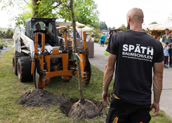 Baumersatz-Pflanzung mit den Späth