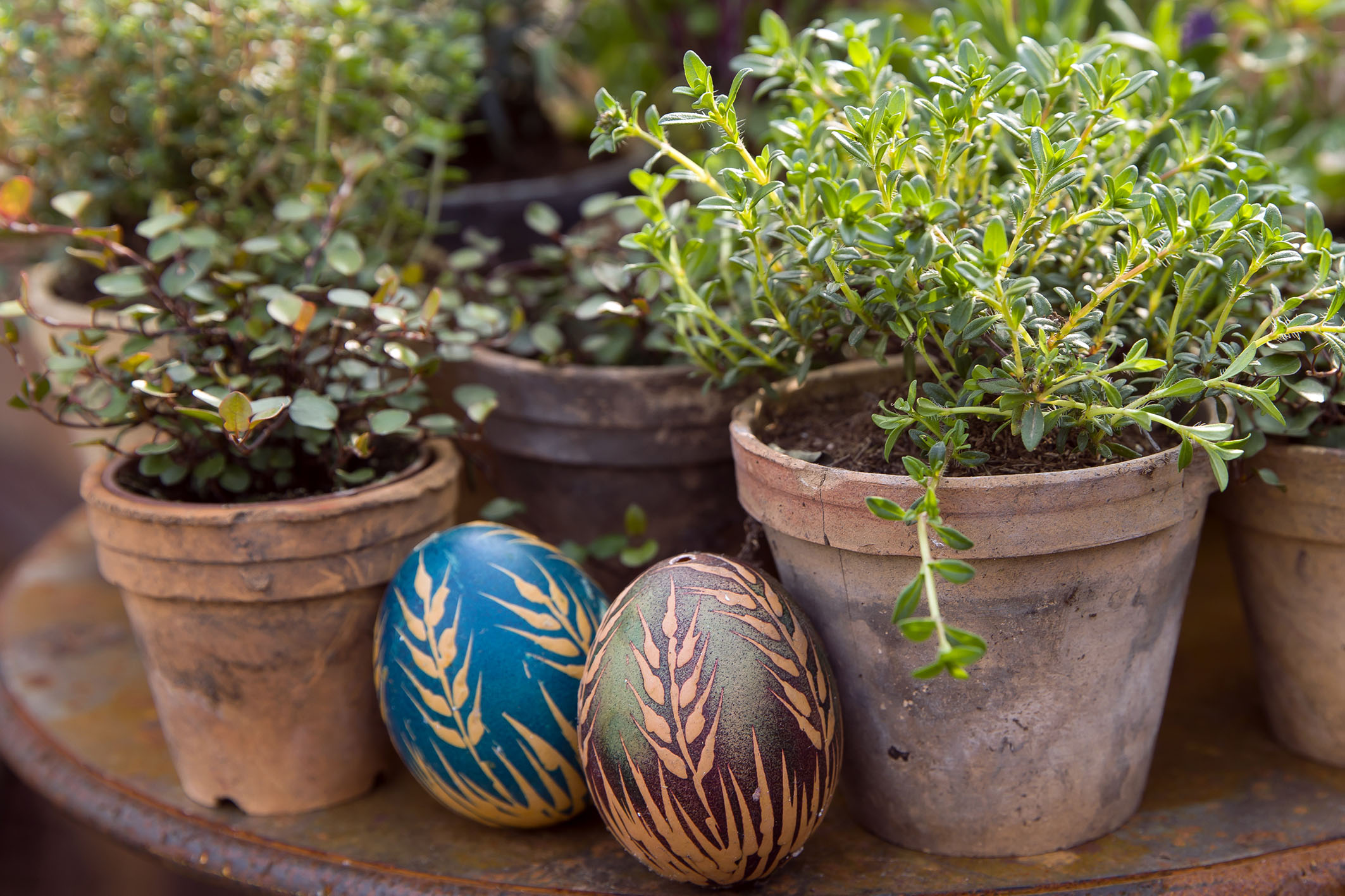 FOstereier in sorbischer Tradition mit Kräuterpflanzen im Topf aus Ton
