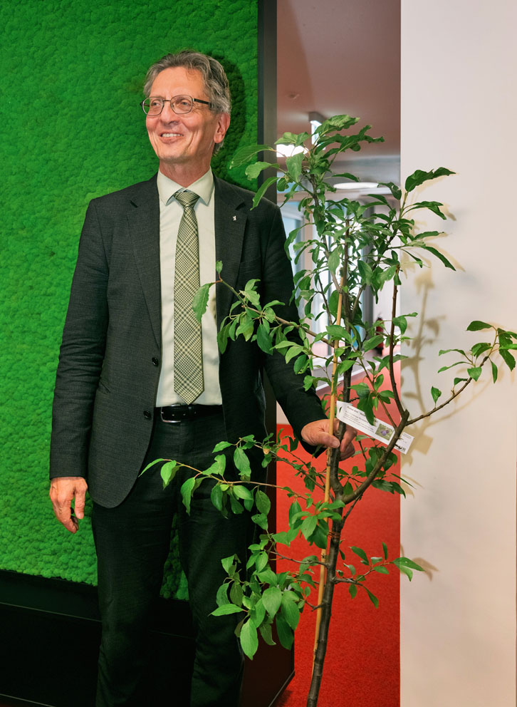 Senator Christian Gaebler mit dem Baum-Geschenk der Späth'schen Baumschulen: die Pflaume
